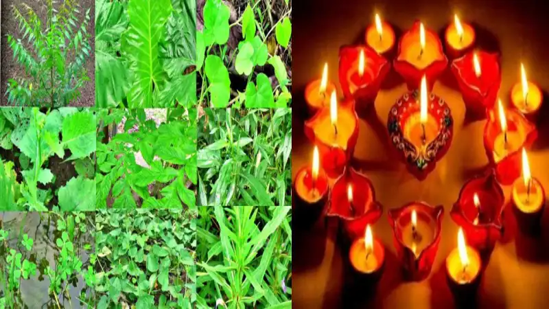 জন্মাষ্টমী